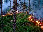 На  территории МОГО «Ухта», в 3 километрах от п. Кемдин по трассе Ухта – Троицко-Печорск, обнаружен лесной пожар. На место выехали специалисты, причины возникновения лесного пожара устанавливаются.