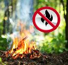 Утверждены Правила пожарной безопасности в лесах