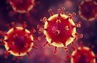 Правила профилактики коронавирусной инфекции