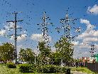 Филиал «Россети Северо-Запад» в Республике Коми предупреждает: энергообъекты – не место для игр!
