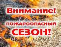 В Республике Коми объявлены даты начала летнего пожароопасного сезона 2025 года