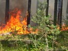В Республике Коми начинается пожароопасный сезон 