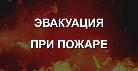 В администрации муниципального округа «Ухта» 25 июня 2025 года прошла тренировка по эвакуации при пожаре. 